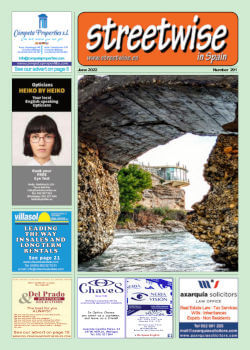 Cover page of Streetwise Magazine in Spain, issue 2022 06 no. 291 with link