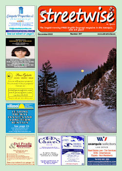 Cover page of Streetwise Magazine in Spain, issue 2022 12 no. 297 with link
