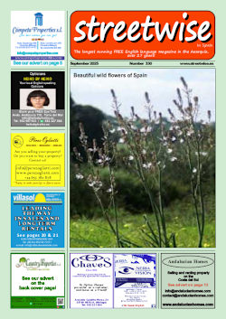 Cover page of Streetwise Magazine in Spain, issue 2025 09 no. 330 with link