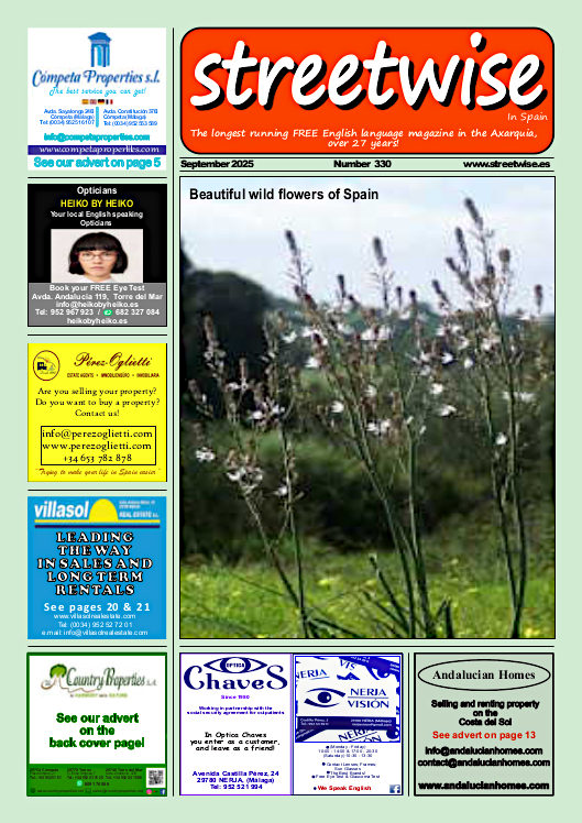 Cover page of Streetwise Magazine in Spain, issue 2025 09 no. 330 with link
